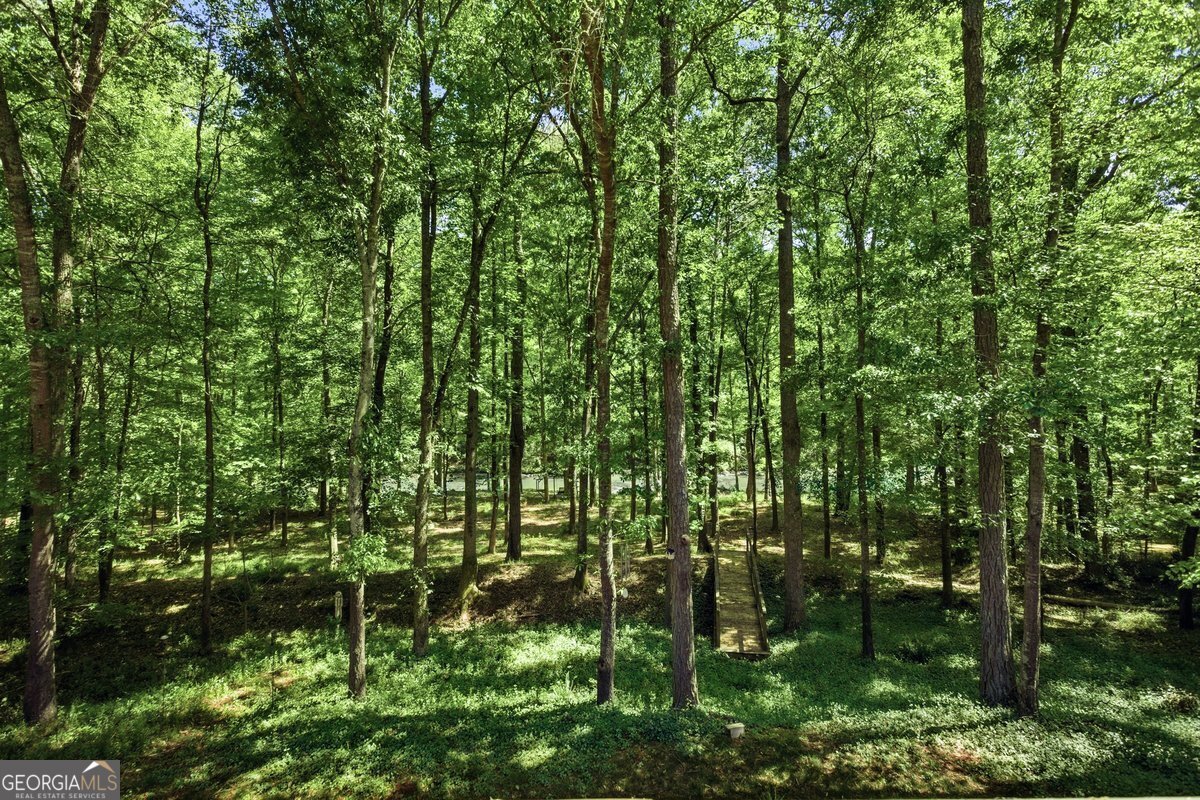 212 Brookstone Drive McDonough - Photo 23