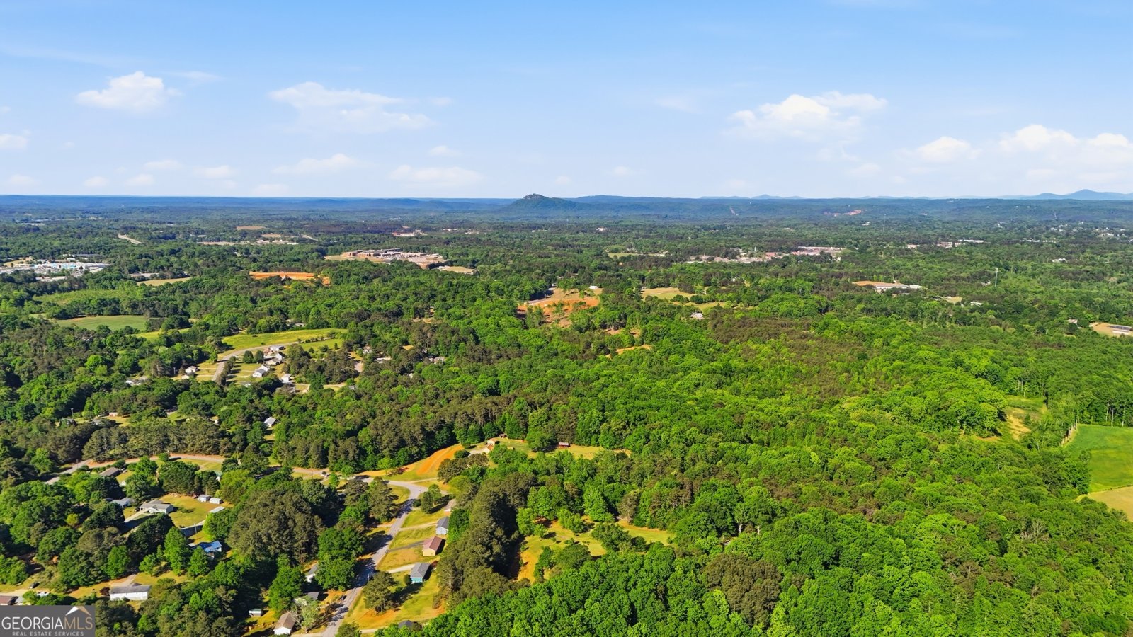 315 Acre Estate Toccoa - Photo 39