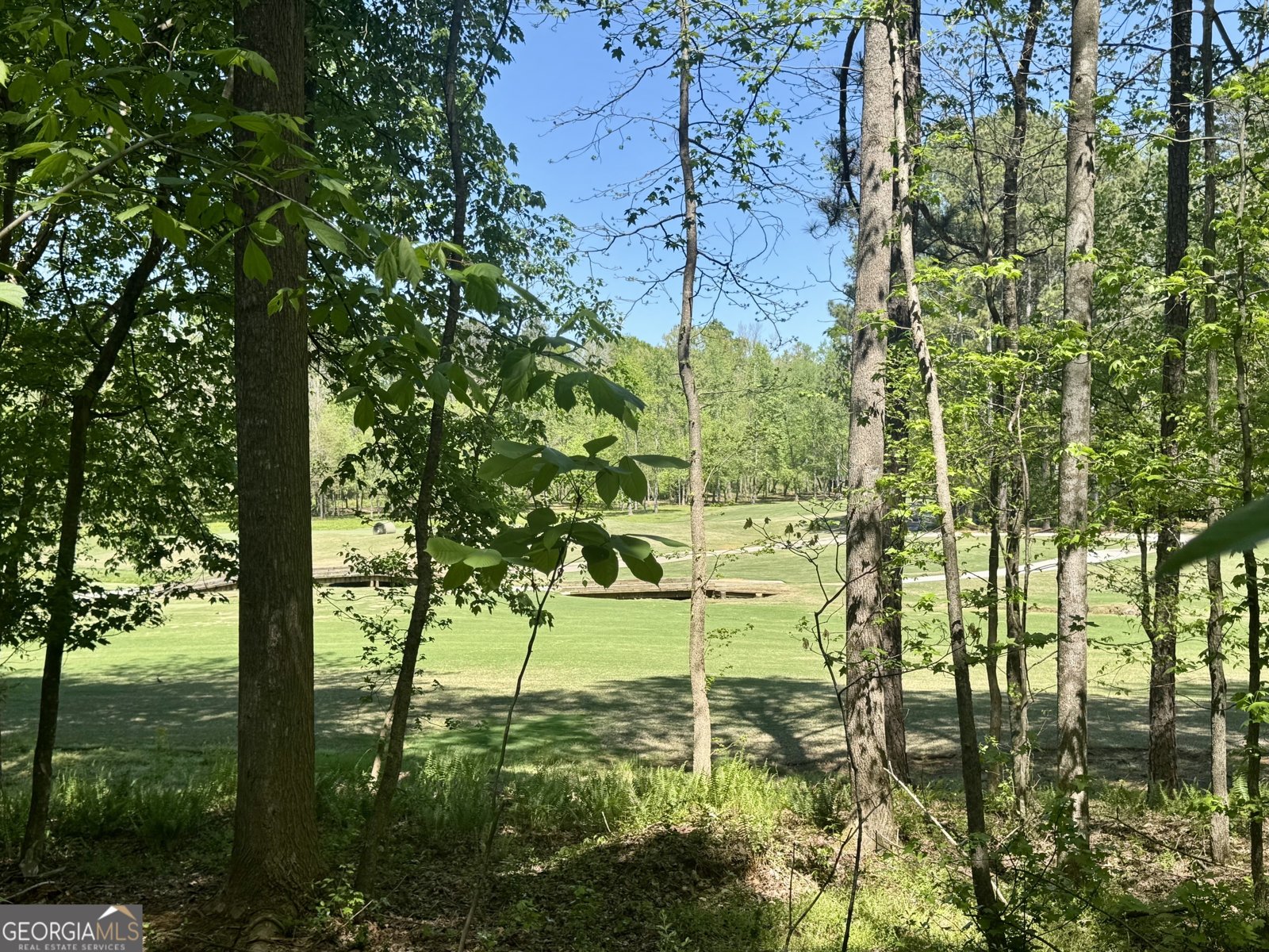 1330 Creek Ridge Crossing Alpharetta - Photo 41