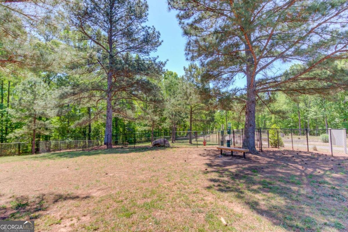 81 Mead Court Hoschton - Photo 32