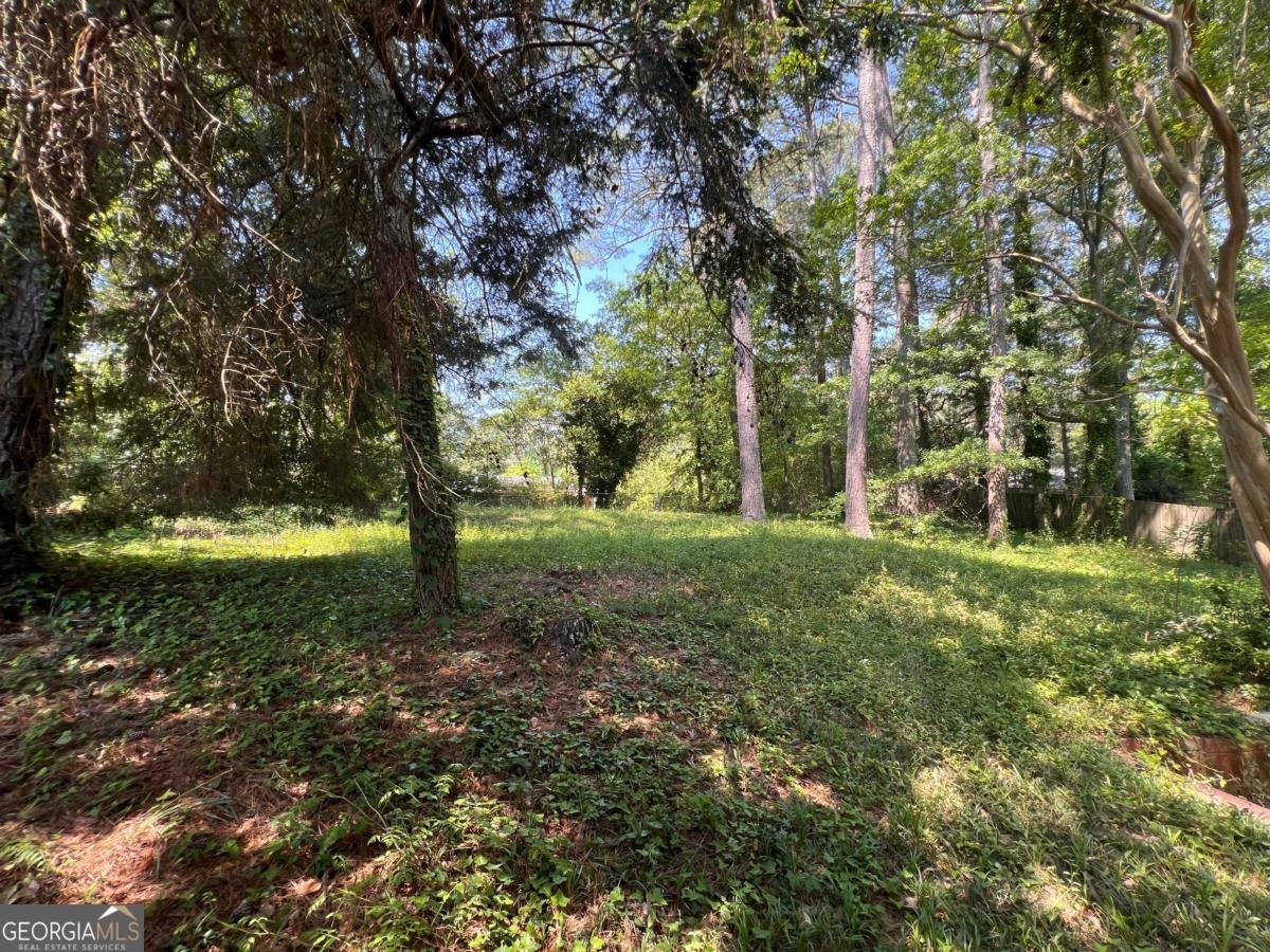 2607 Farley Street Atlanta - Photo 24