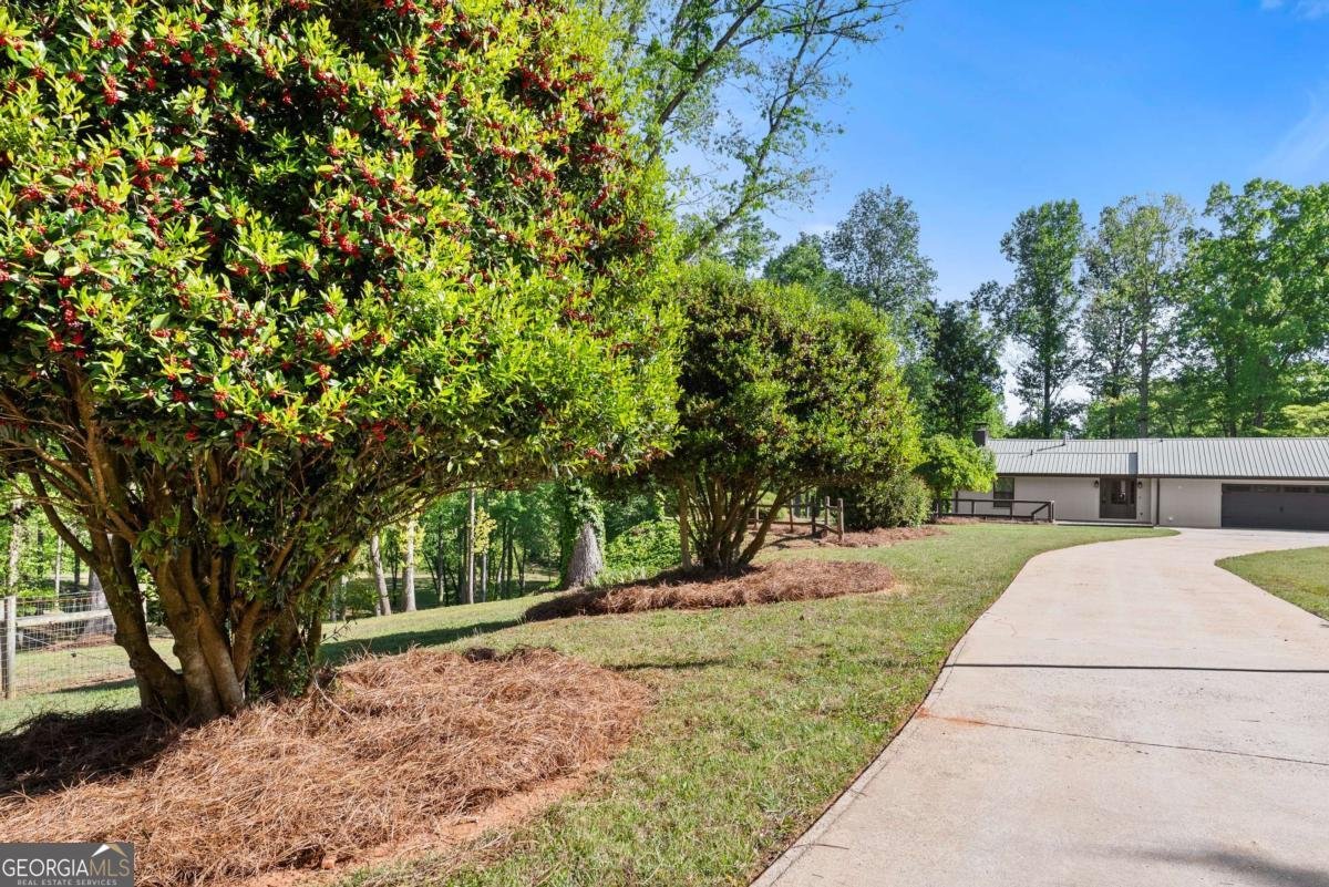 6632 Mountain Meadow Drive Clermont - Photo 6