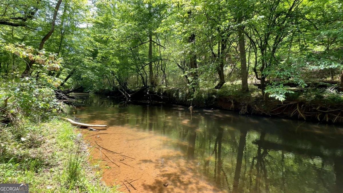 25 Mountain Creek Trail Fairmount - Photo 50