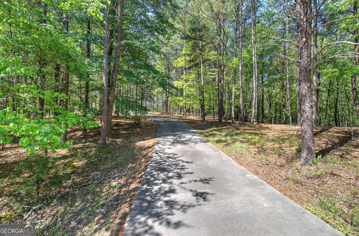 25 Mountain Creek Trail Fairmount - Photo 54