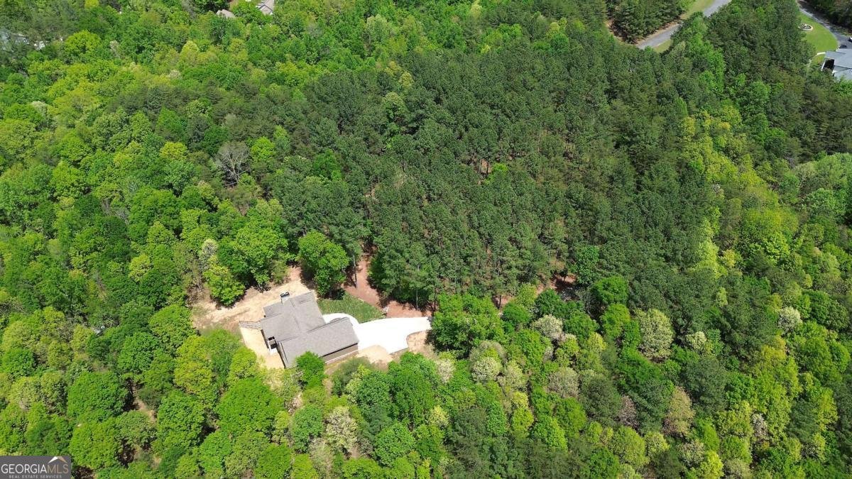 25 Mountain Creek Trail Fairmount - Photo 63