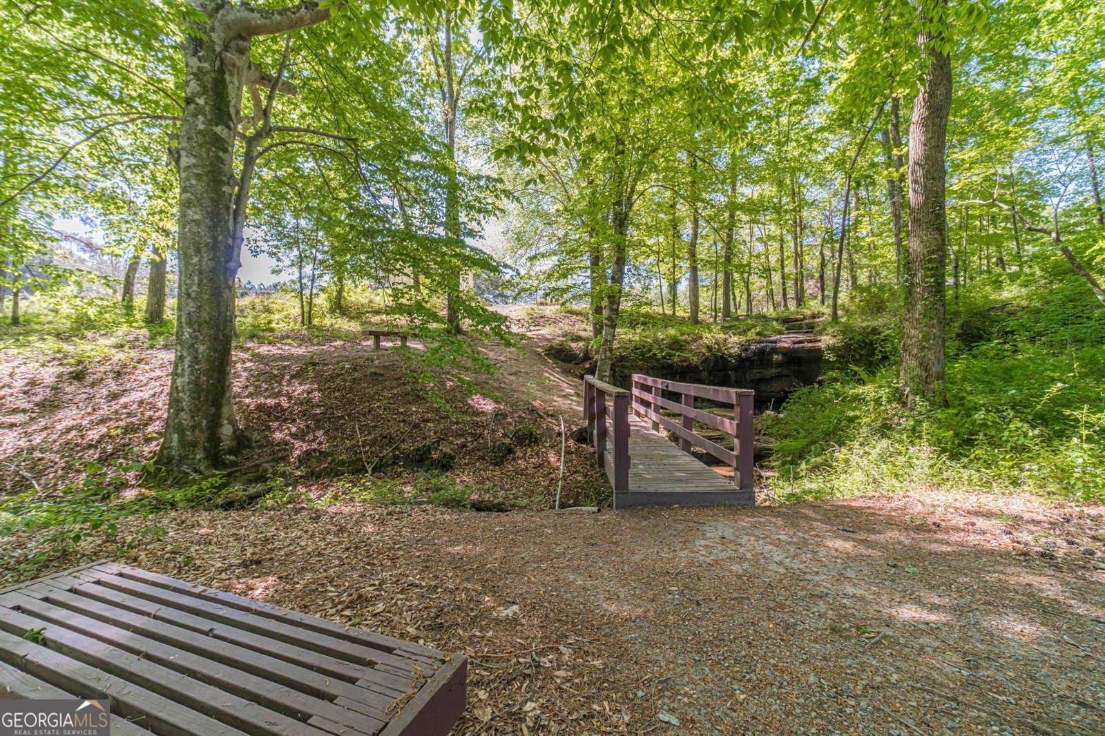 2513 Carleton Gold Road Dacula - Photo 40