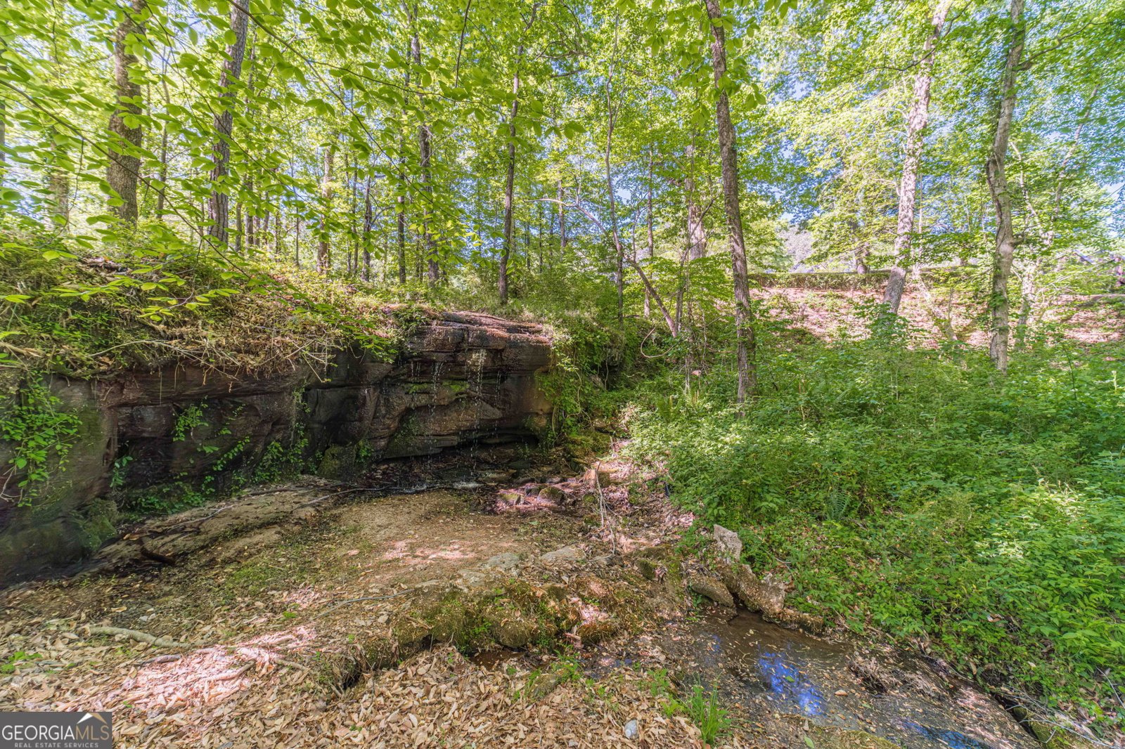 2513 Carleton Gold Road Dacula - Photo 41