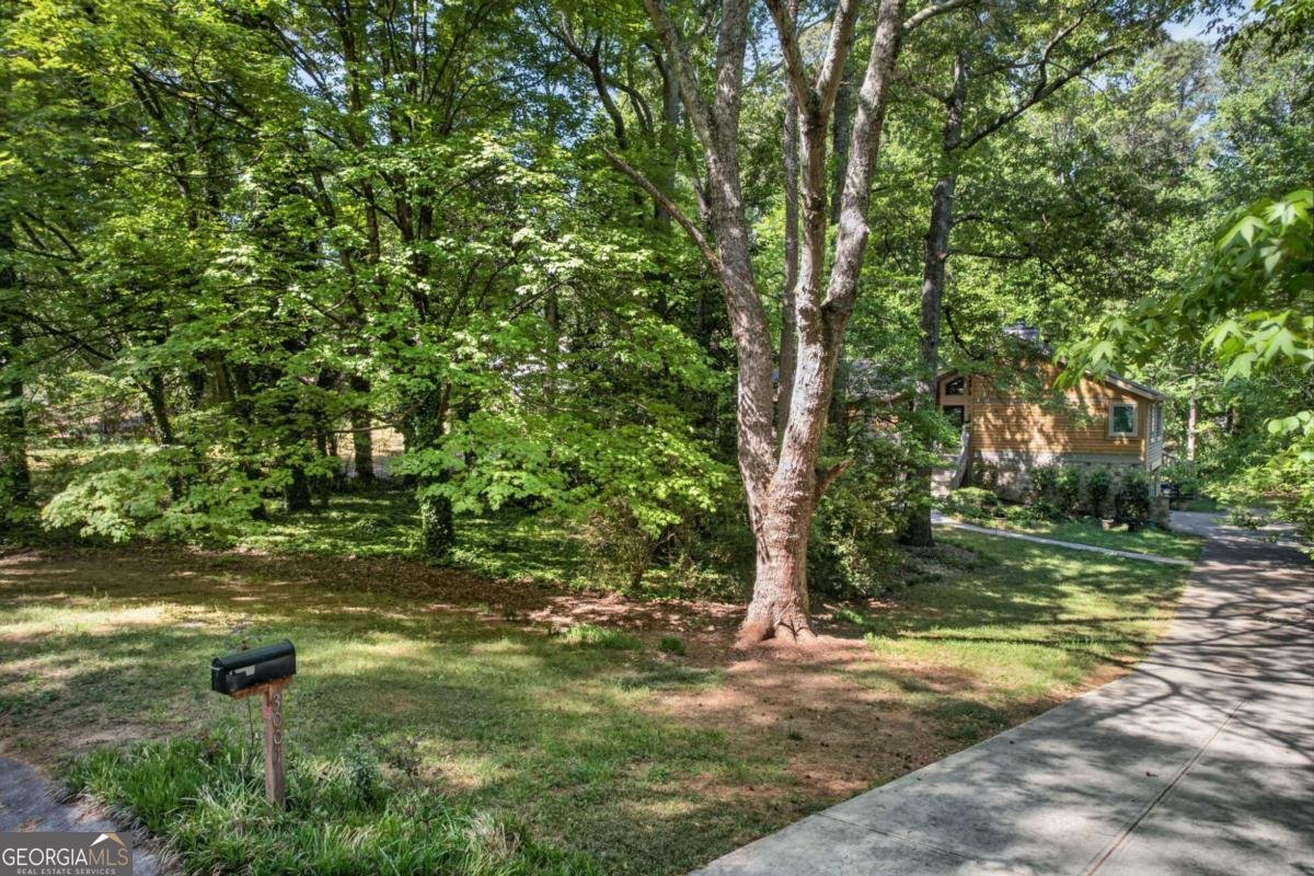 3001 Caribou Trail Marietta - Photo 39