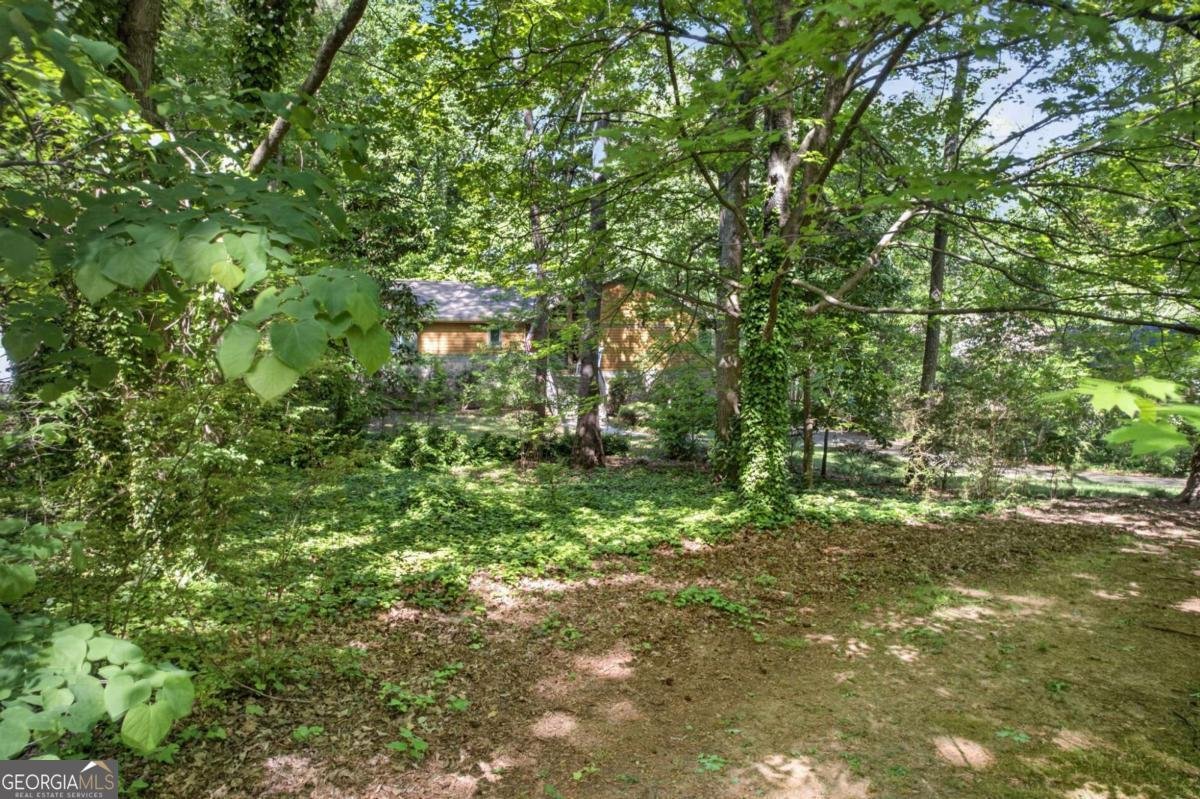 3001 Caribou Trail Marietta - Photo 40