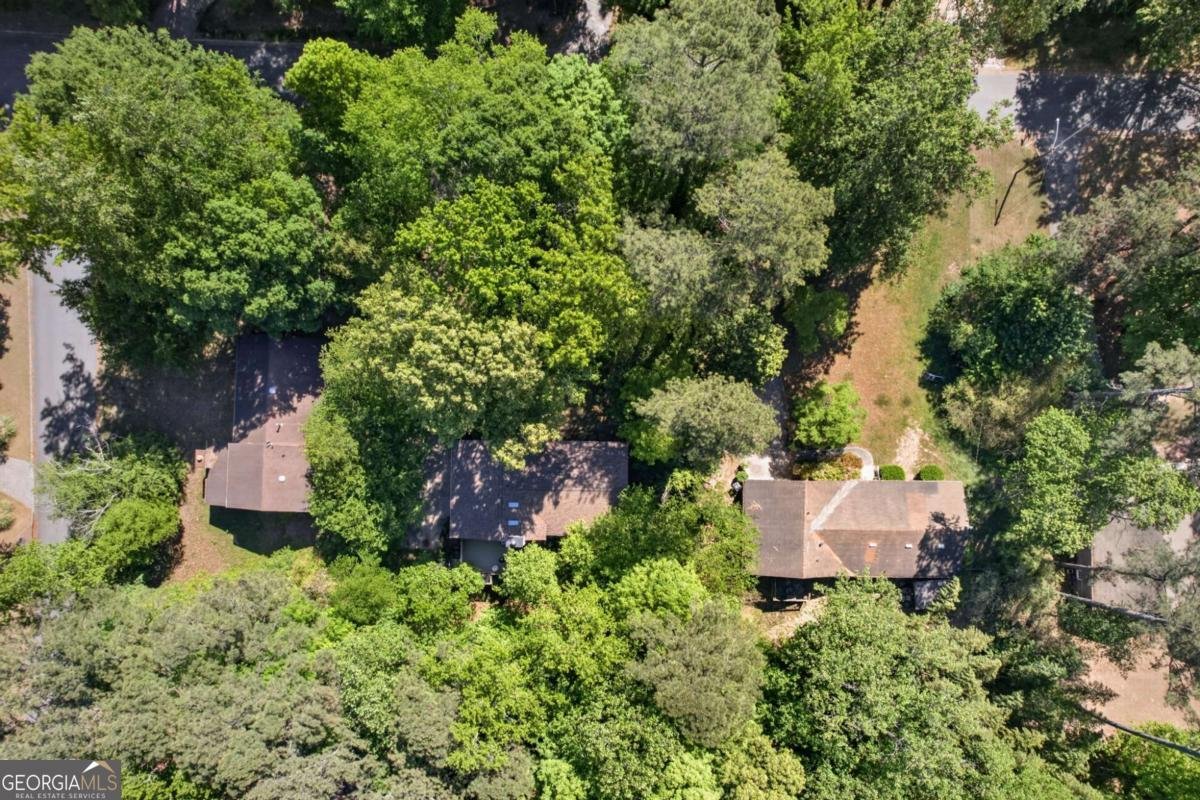 3001 Caribou Trail Marietta - Photo 38