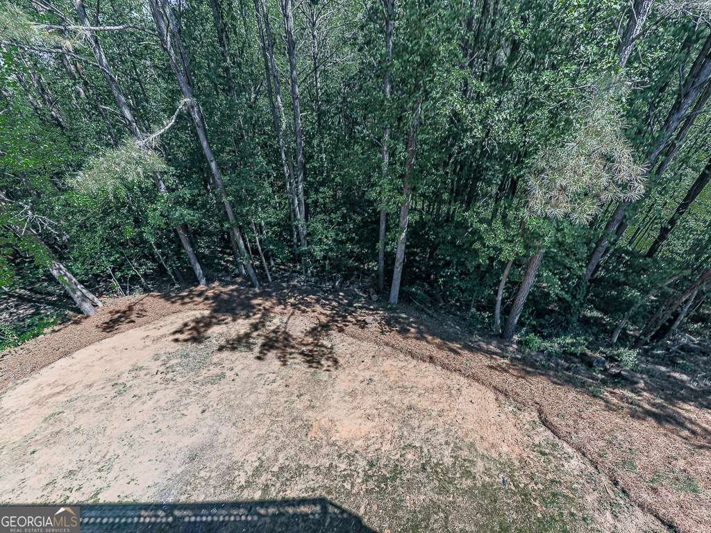 9060 New Hightower Road Ball Ground - Photo 50