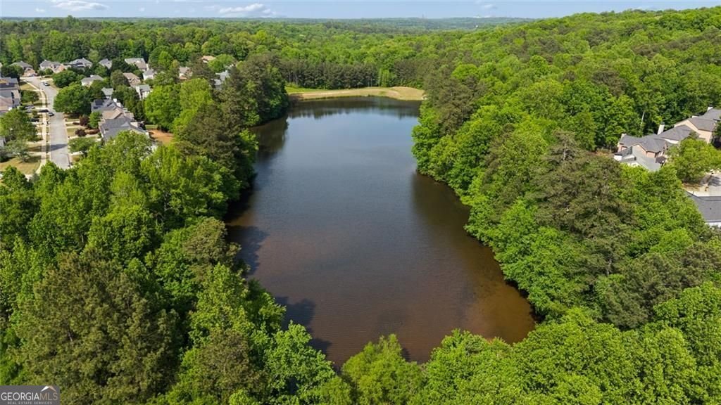 5607 Vinings Retreat Pass Mableton - Photo 59