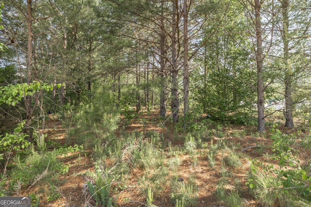 102 Clarks Court Jackson - Photo 37