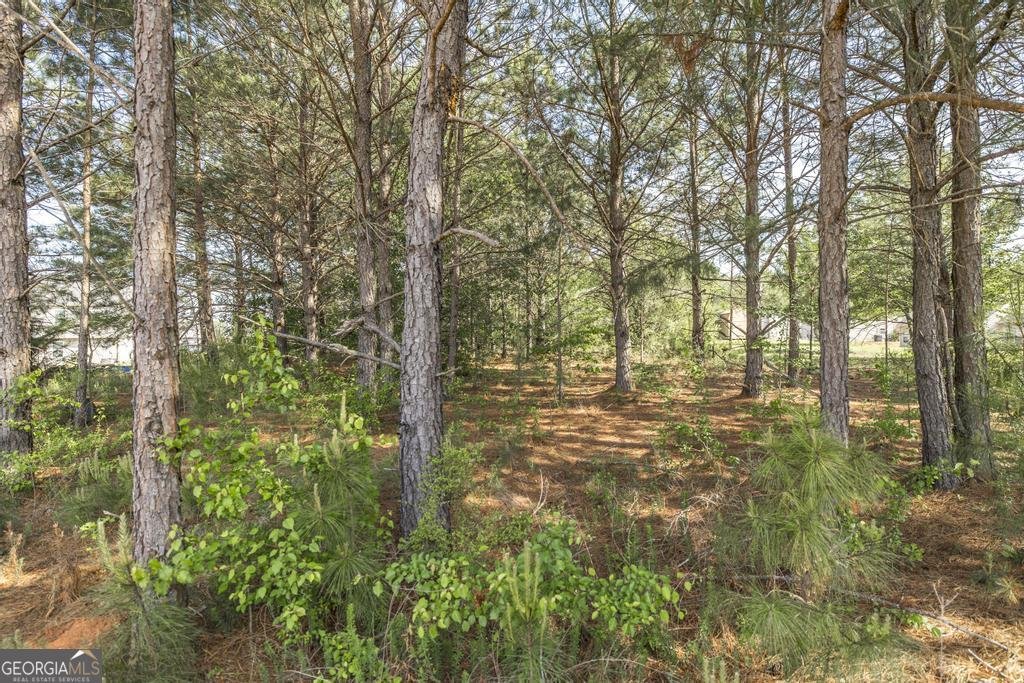 102 Clarks Court Jackson - Photo 38