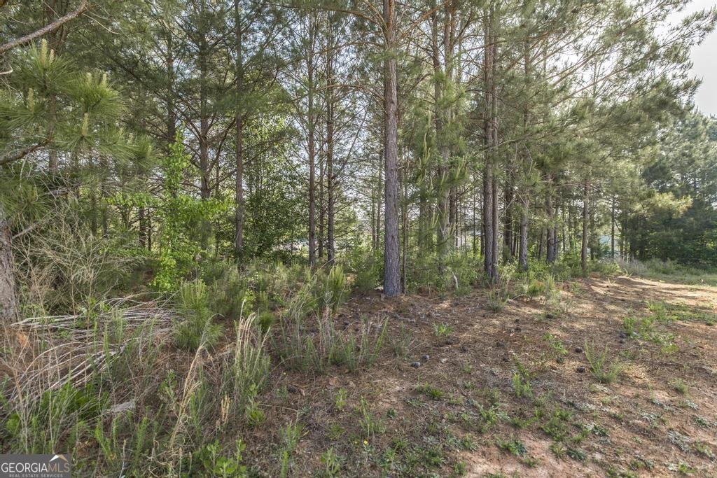 102 Clarks Court Jackson - Photo 39