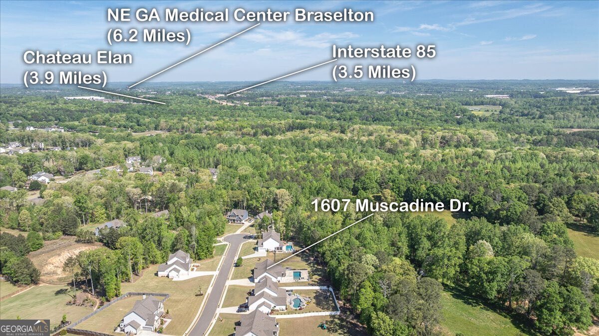 1607 Muscadine Drive Hoschton - Photo 64