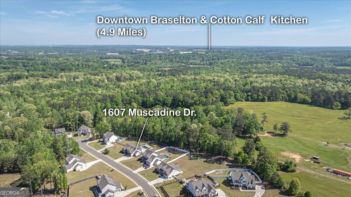 1607 Muscadine Drive Hoschton - Photo 65