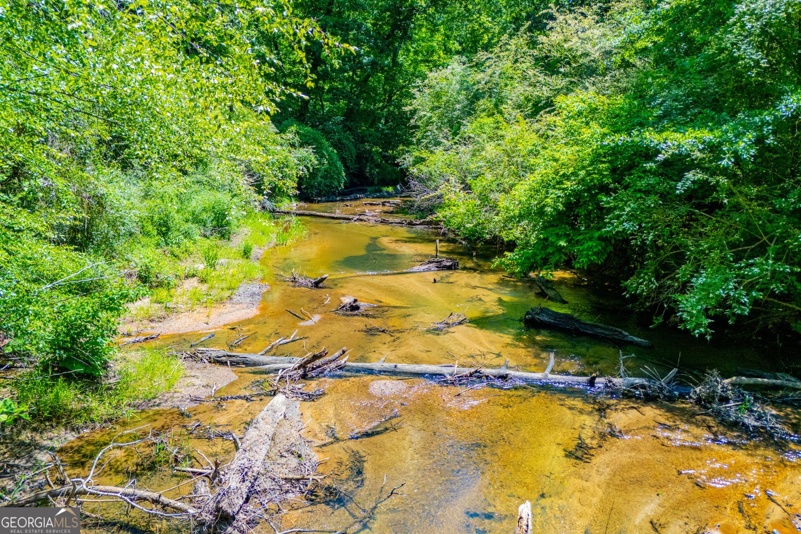 857 Jones Mill Road Whitesburg - Photo 8