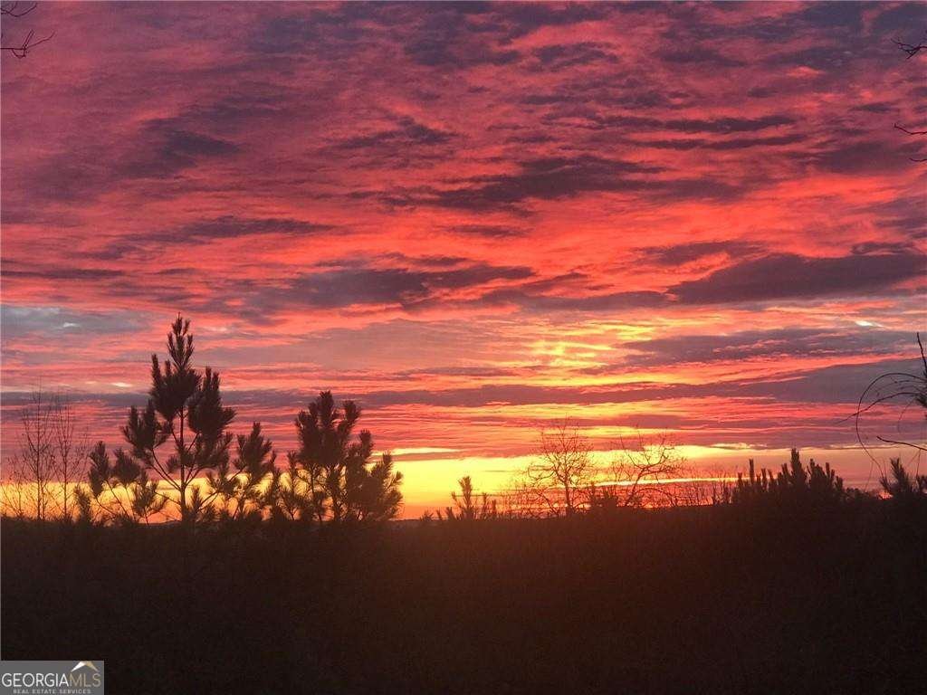 105 Tanya Way Ball Ground - Photo 11