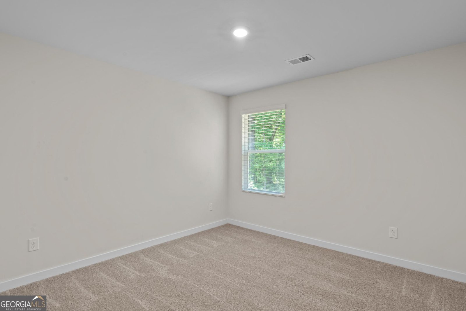 336 Wandering Brook Drive McDonough - Photo 21