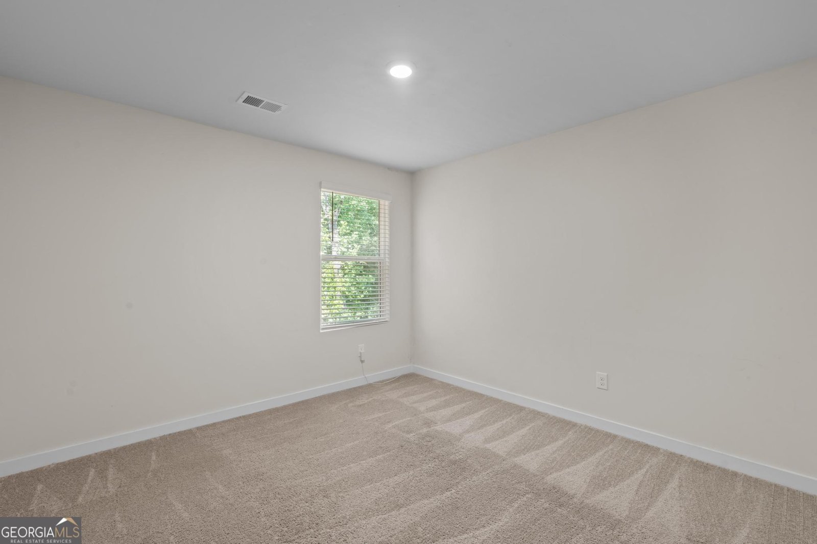 336 Wandering Brook Drive McDonough - Photo 23