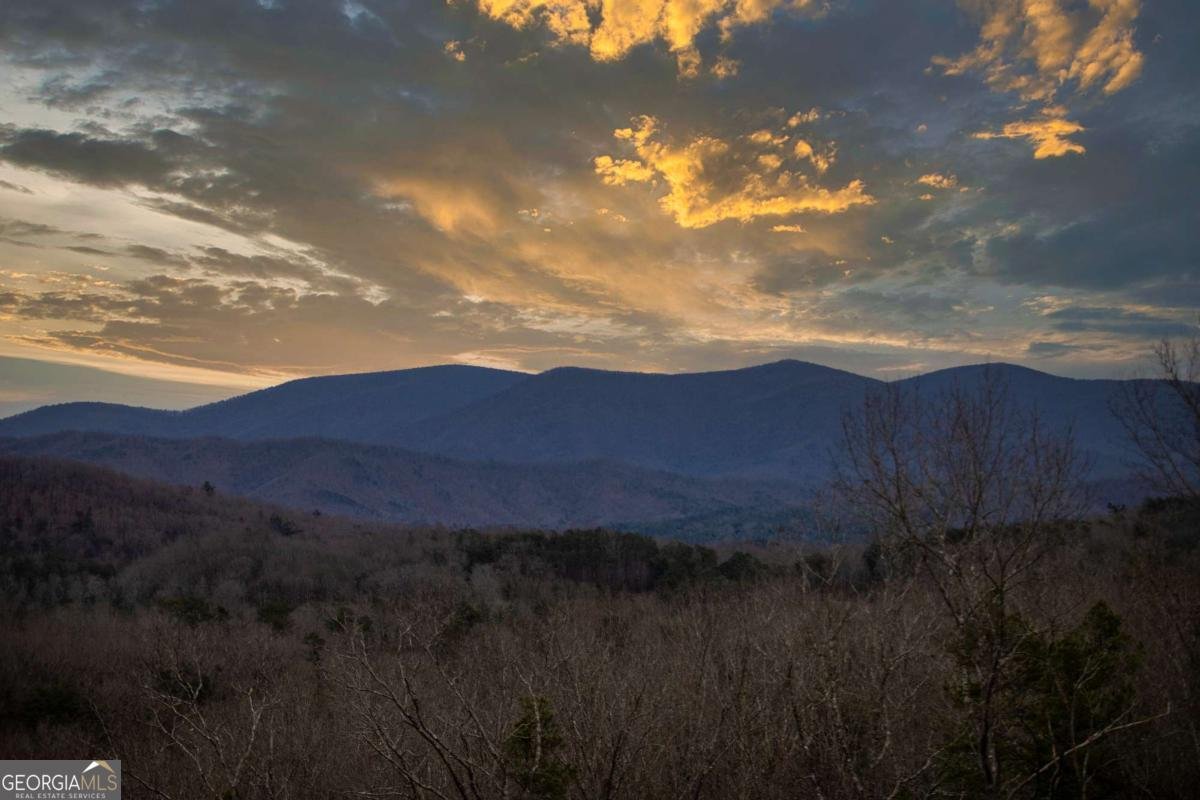 49 Chestnut Overlook Blue Ridge - Photo 62