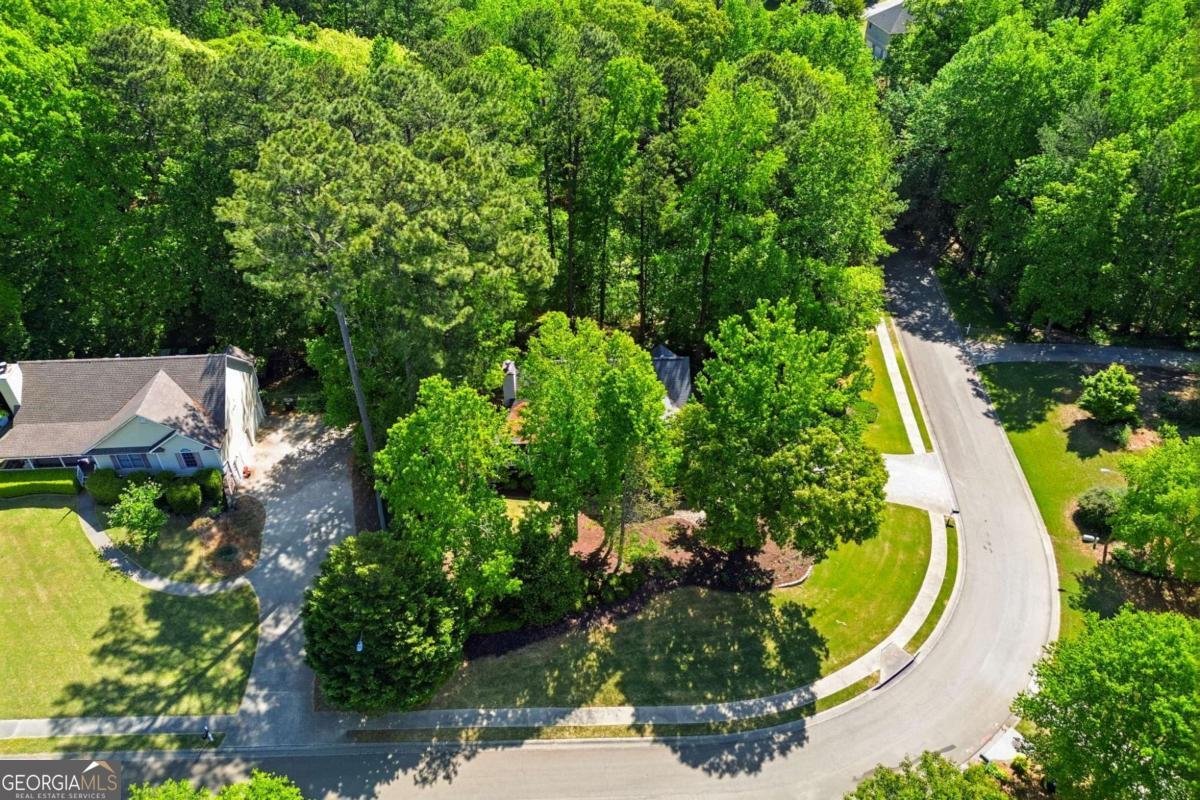 118 Brookhaven Lane Canton - Photo 42