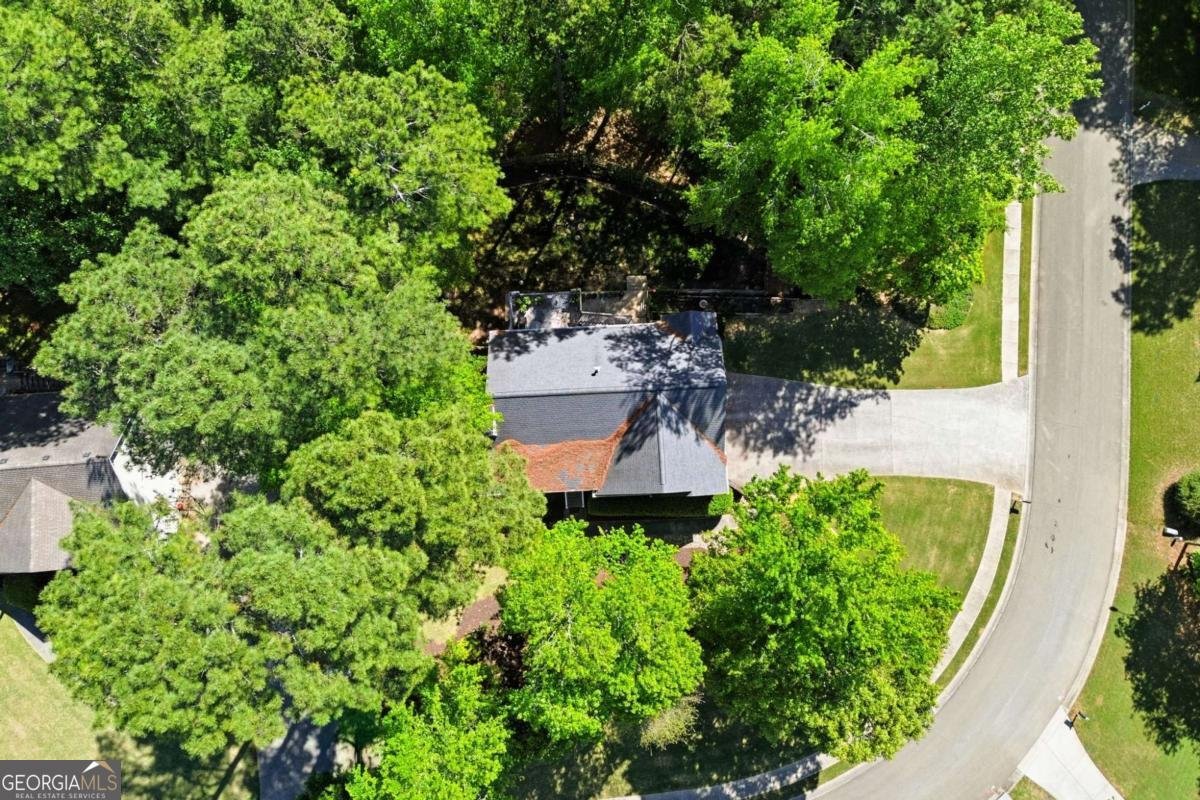 118 Brookhaven Lane Canton - Photo 43