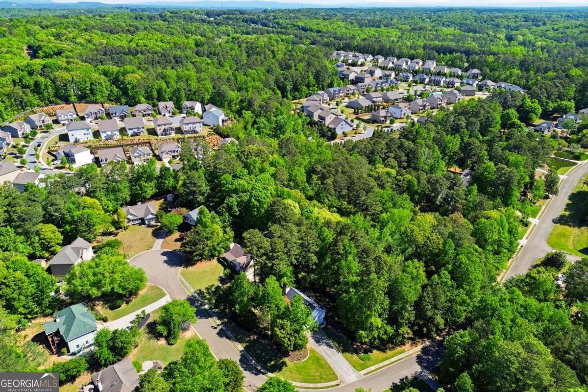 118 Brookhaven Lane Canton - Photo 44