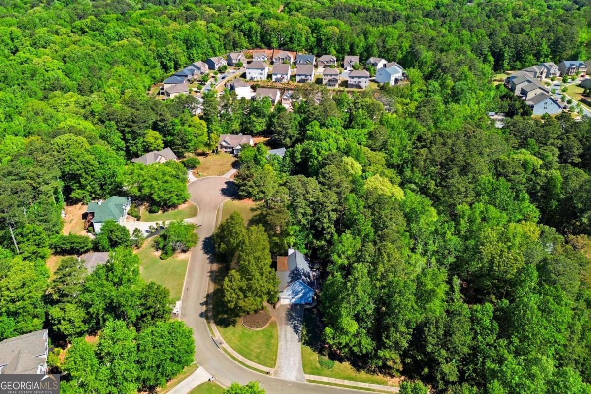 118 Brookhaven Lane Canton - Photo 45