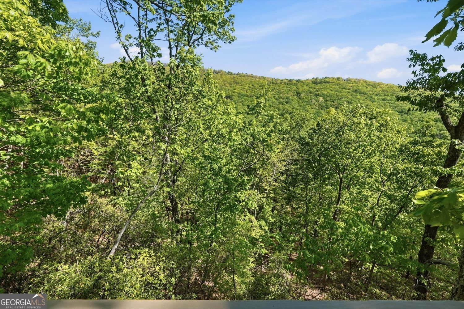 108 Columbine Drive Jasper - Photo 37