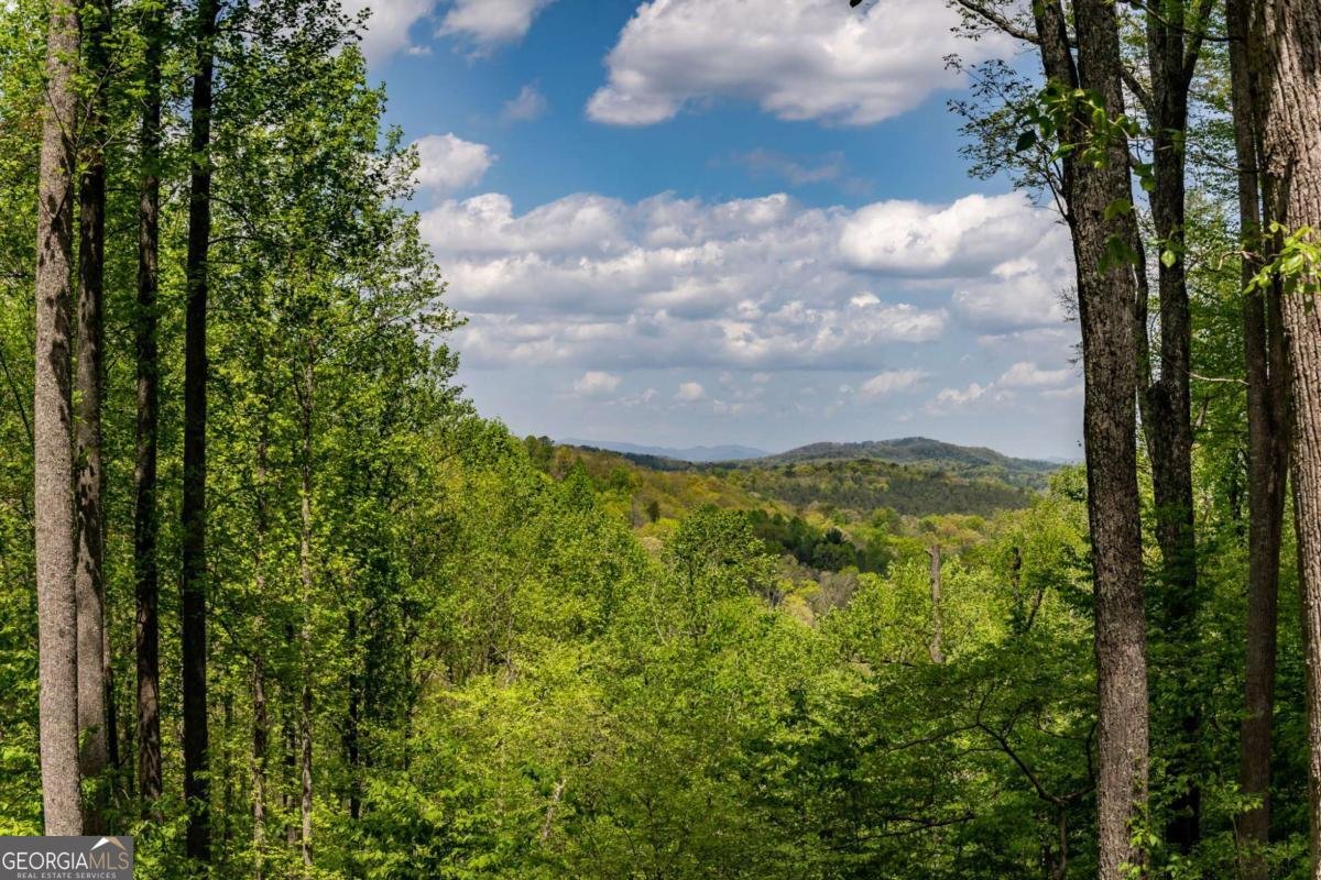431 Little Bushy Head Road Blue Ridge - Photo 19