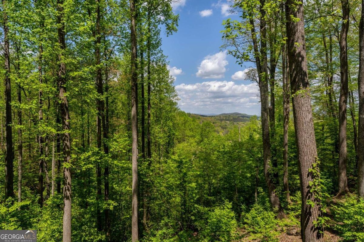 431 Little Bushy Head Road Blue Ridge - Photo 37