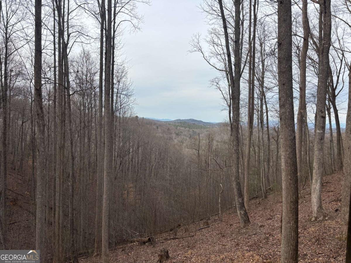 431 Little Bushy Head Road Blue Ridge - Photo 46