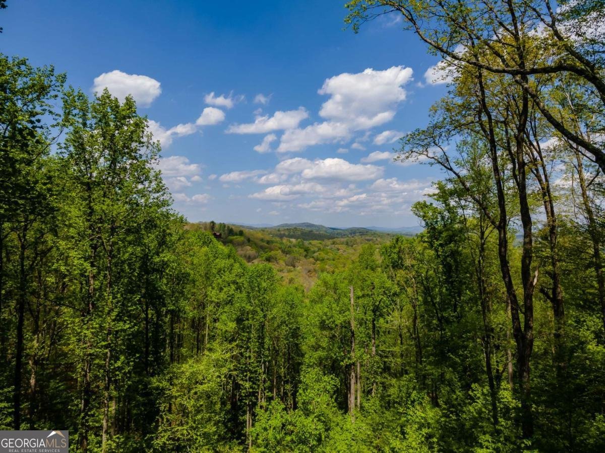 431 Little Bushy Head Road Blue Ridge - Photo 9