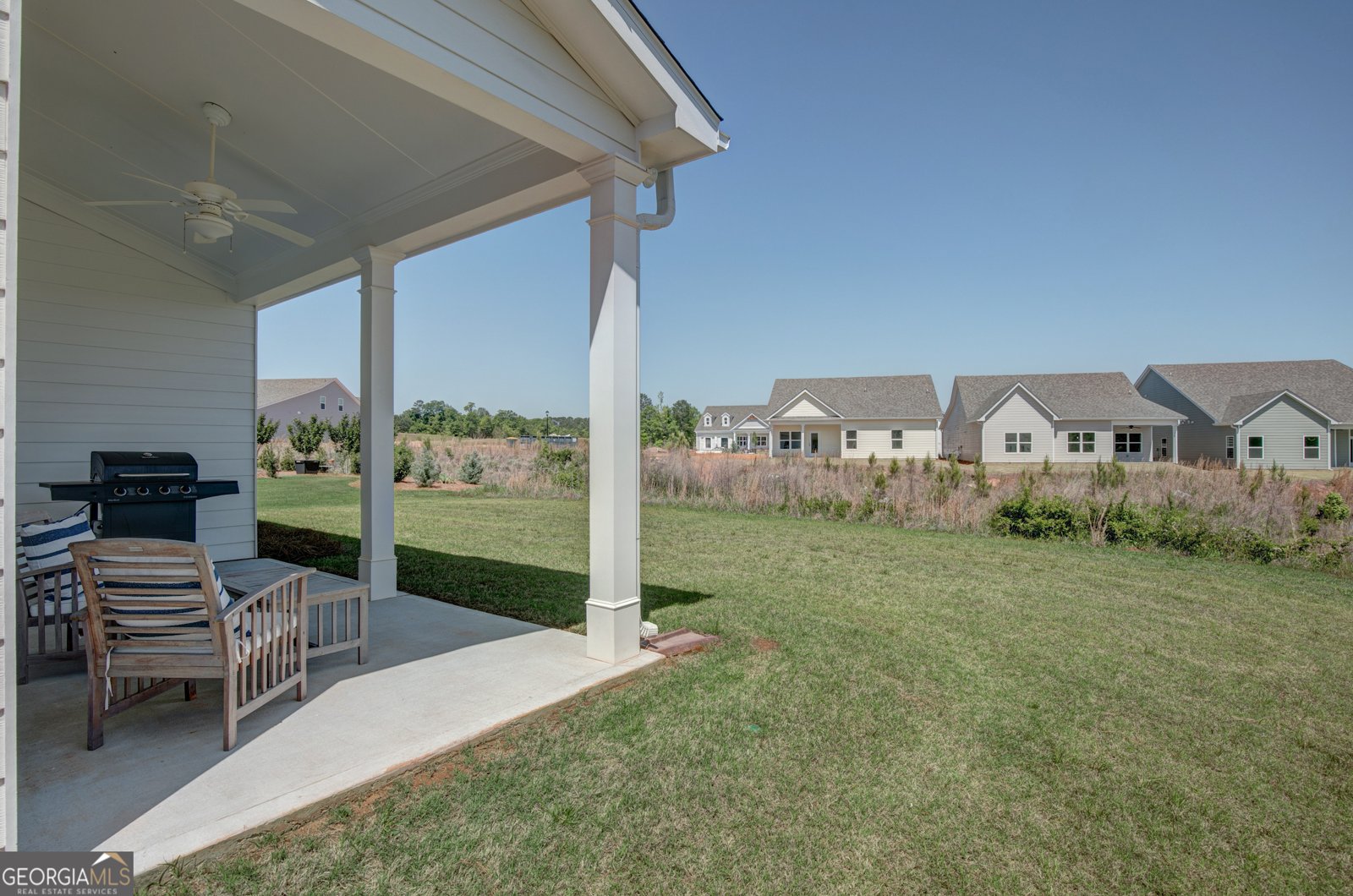 90 Pinedale Lane Senoia - Photo 30