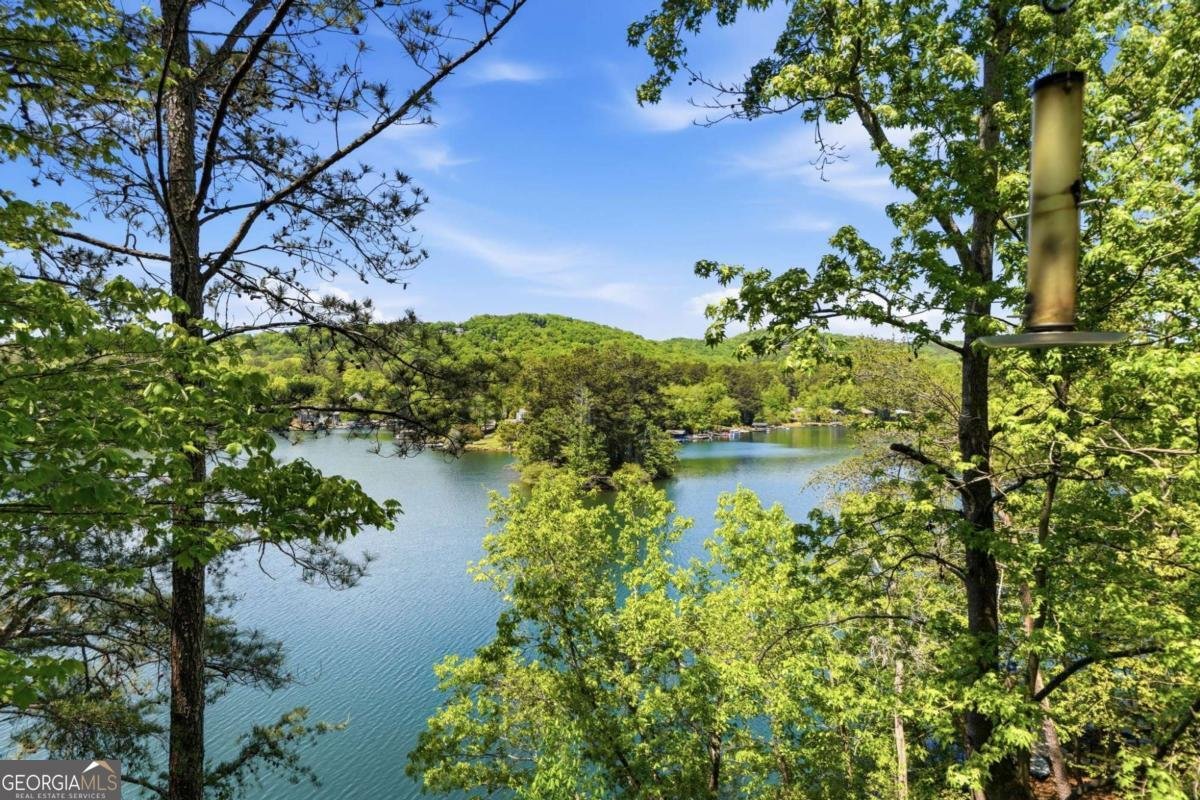 105 White Pine Court Waleska - Photo 35