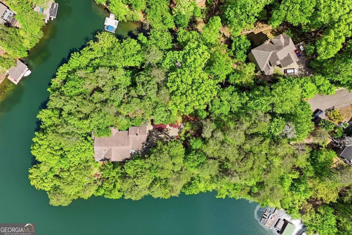 105 White Pine Court Waleska - Photo 66