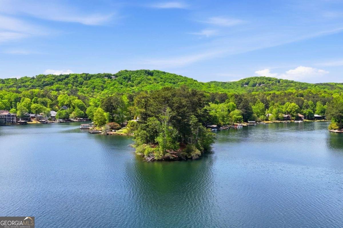 105 White Pine Court Waleska - Photo 67