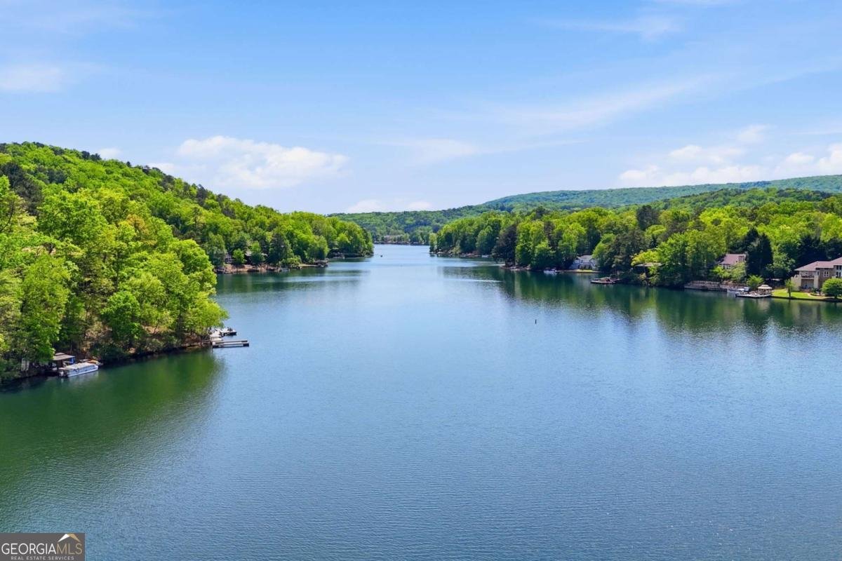 105 White Pine Court Waleska - Photo 68