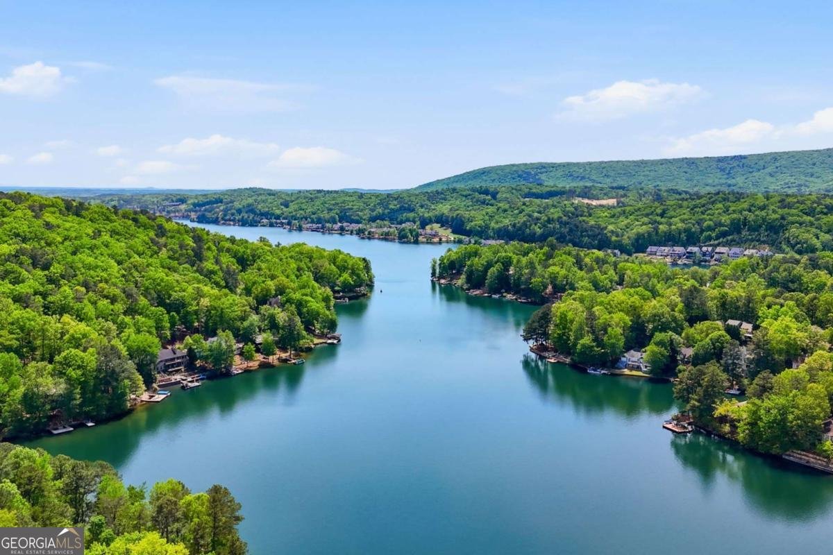 105 White Pine Court Waleska - Photo 69