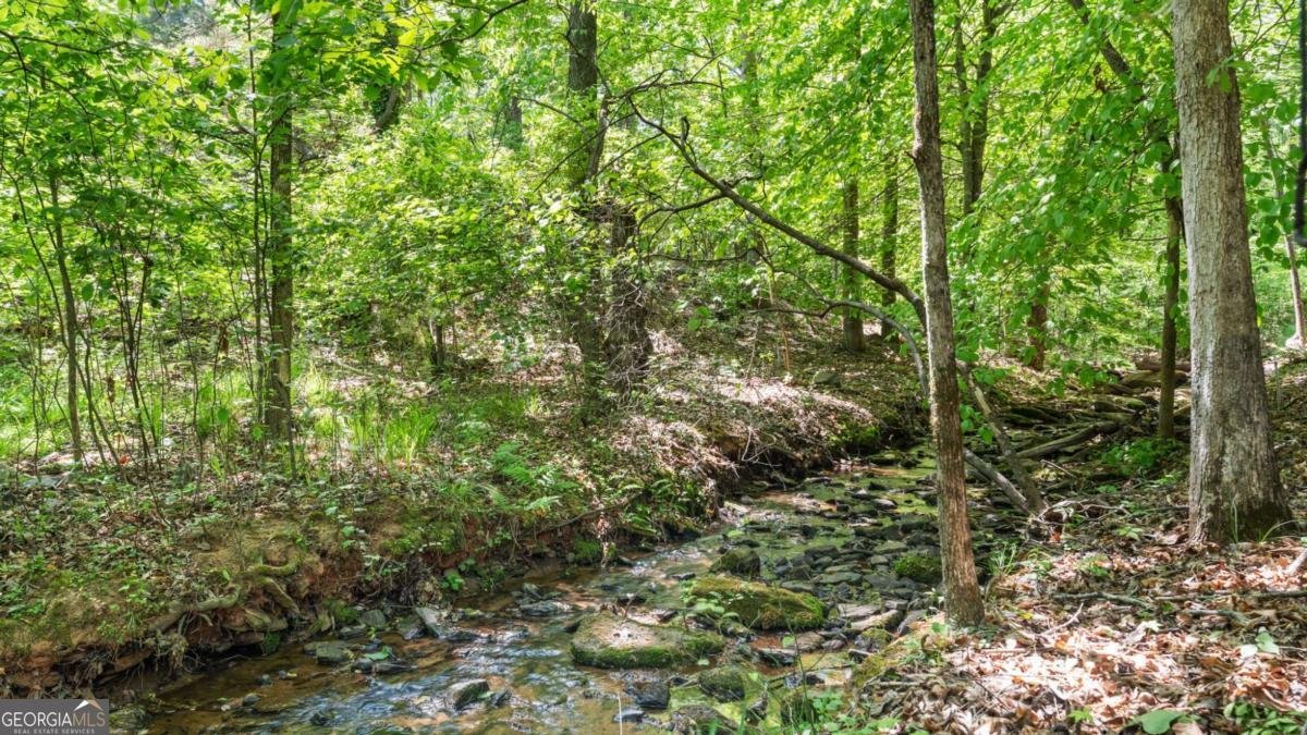 1445 Badingham Drive Cumming - Photo 24