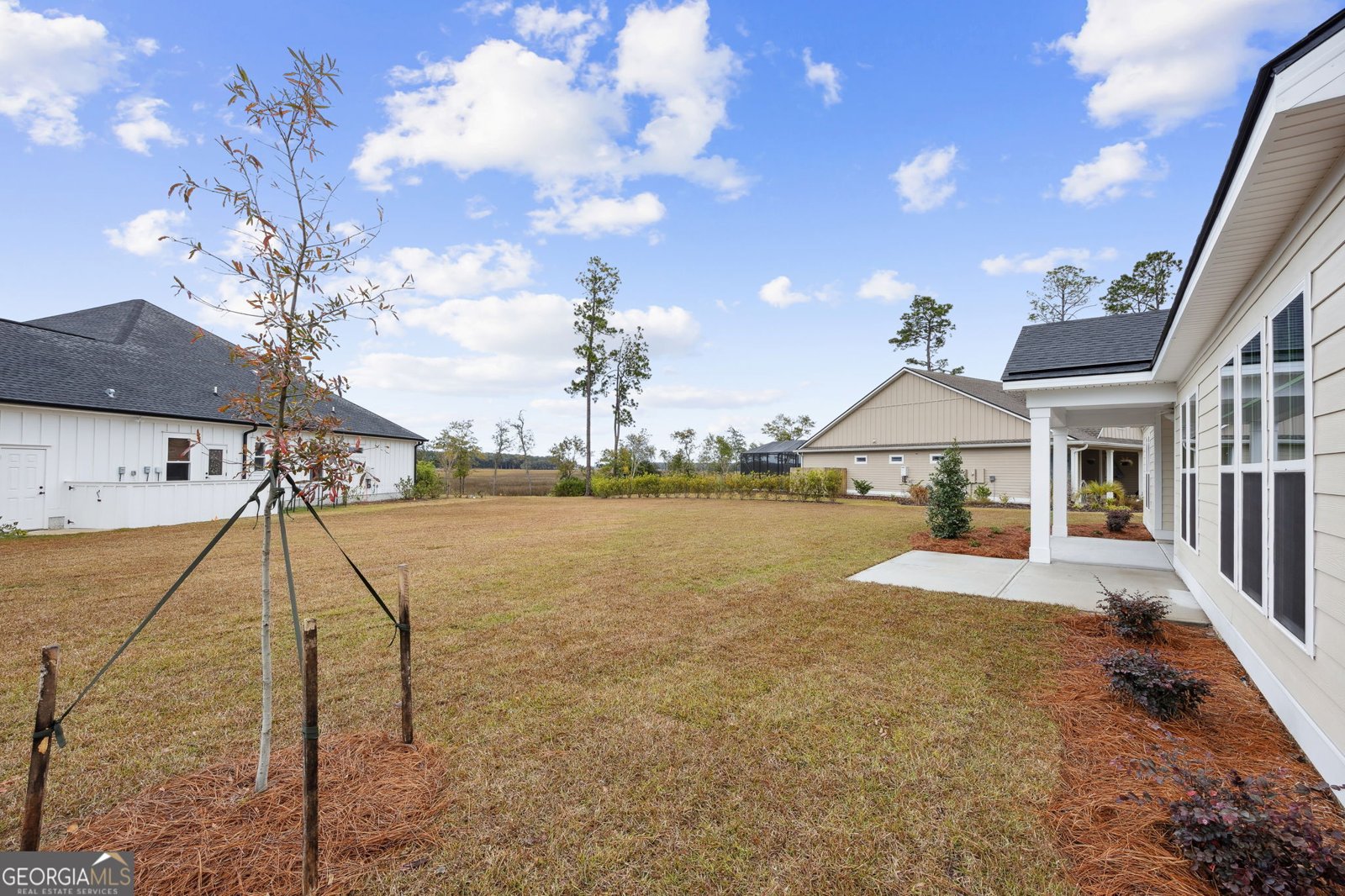 203 Tidal Marsh Way St. Marys - Photo 46
