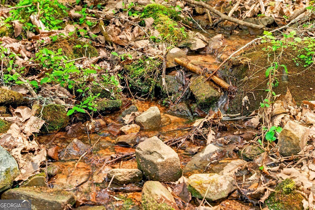 564 Weaver Creek Lane Blue Ridge - Photo 35