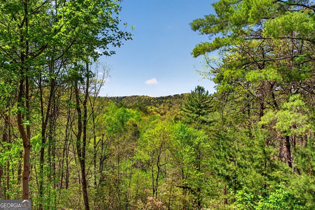 564 Weaver Creek Lane Blue Ridge - Photo 36