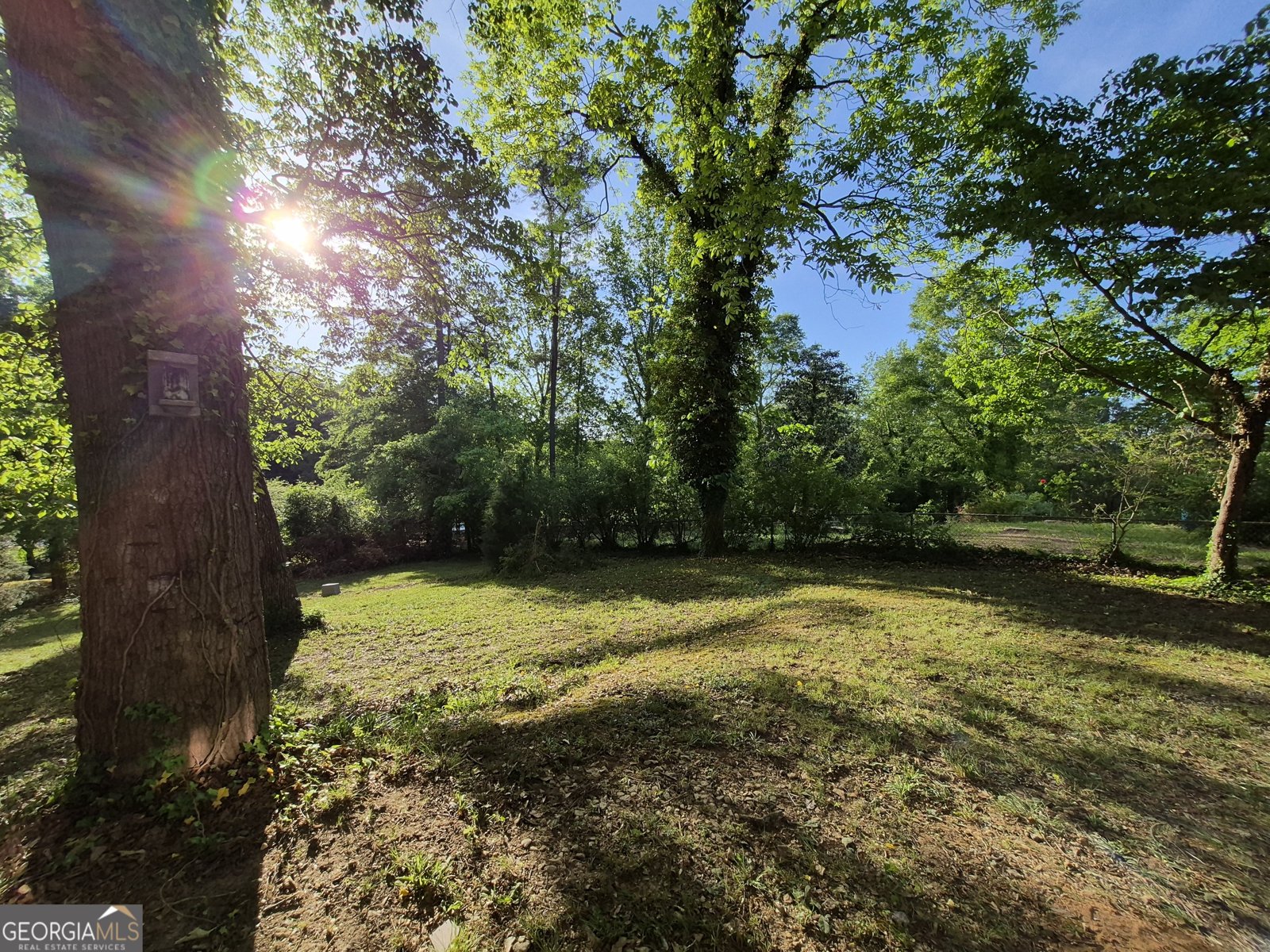 243 Rhodes Drive Athens - Photo 39