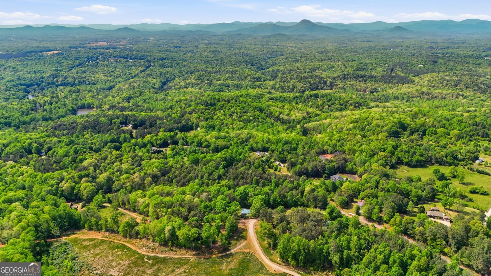 1006 Paradise Park Road Cornelia - Photo 39