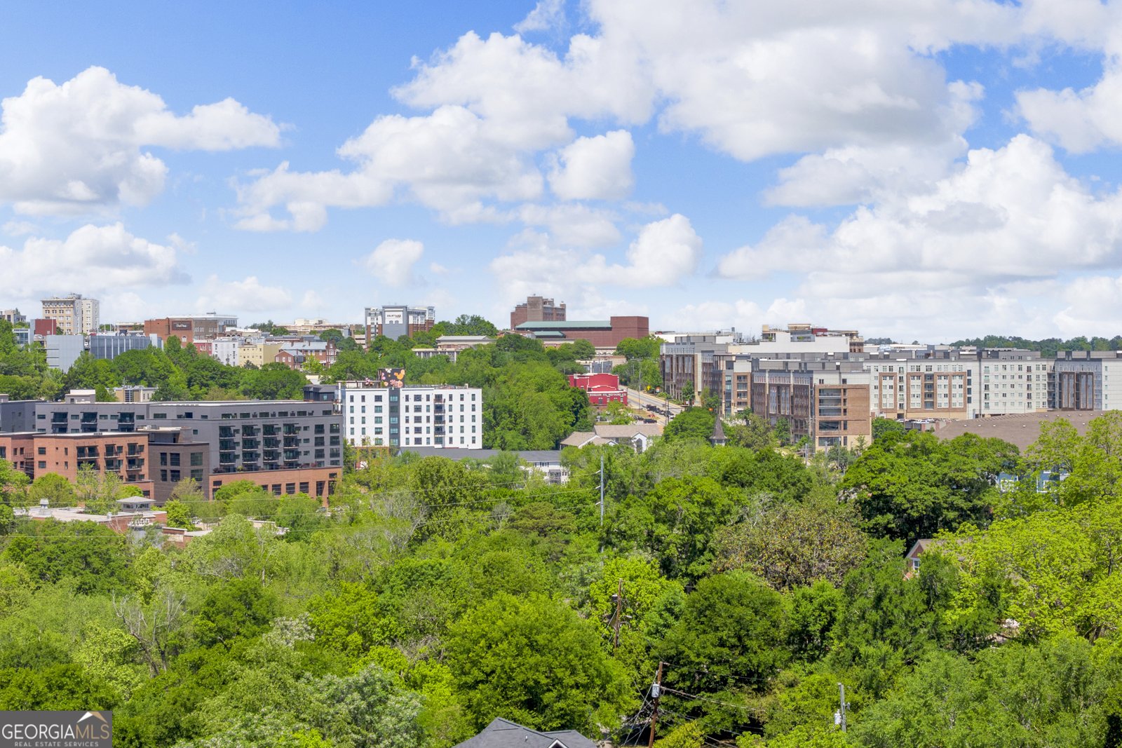 250 Little Street Athens - Photo 39