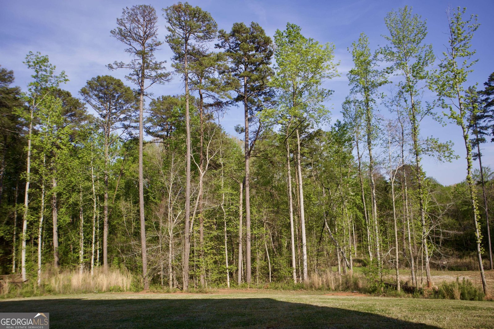 2815 Pilgrim Mill Road Cumming - Photo 38