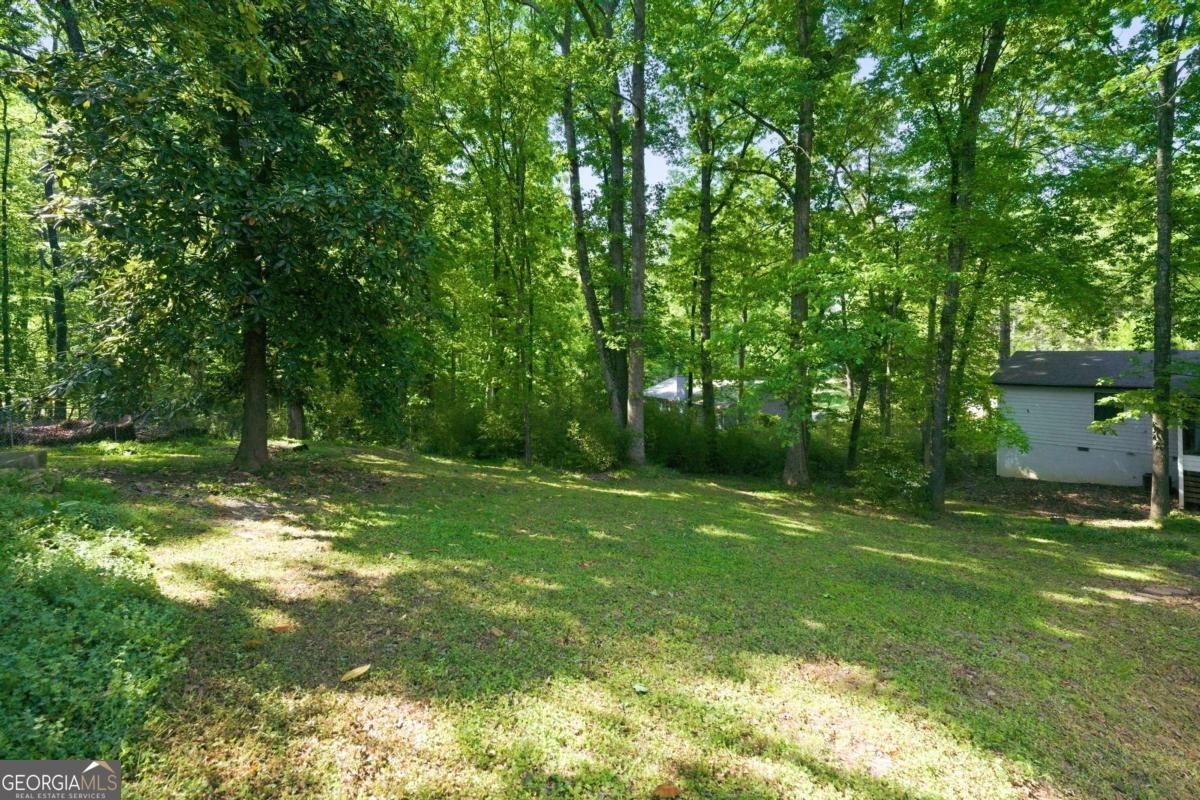 1747 Country Park Way Lawrenceville - Photo 38